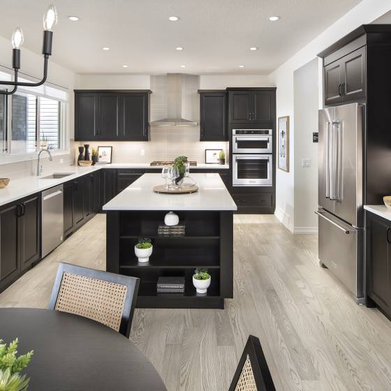 Kitchen 1WEB v42