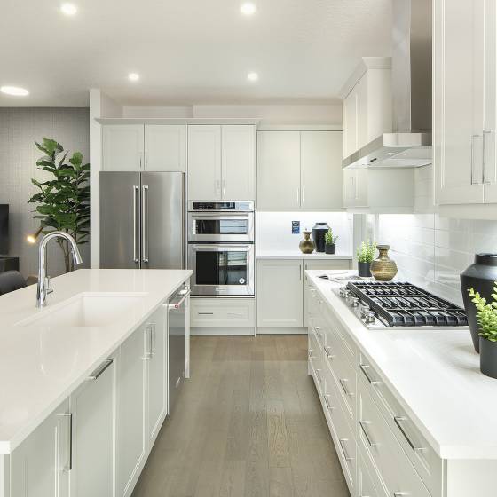 Wyatt 1 Kitchen 2WEB